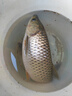 神鯊攻湖4.5米魚竿超輕超硬碳素釣魚竿手竿28調臺釣竿鯉魚桿漁具套裝 曬單實拍圖