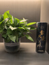 喜碧（Scybe）泡酒容器 密封罐10斤裝泡酒專用瓶泡菜壇子泡酒瓶腌菜瓶潘多拉5L 曬單實拍圖