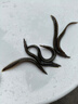 中華大刺鰍魚苗水產(chǎn)批發(fā)刺鰍魚苗鋼鰍刀鰍魚苗淡水魚魚塘 7-9cm 中華刺鰍魚 5個 曬單實拍圖