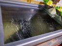 榮事達養魚(yú)冰箱淡水海水過(guò)濾循環(huán)增氧冰柜商用展示柜冷藏保鮮柜臥式水柜 1.2米/水循環(huán)過(guò)濾+增氧系統 曬單實(shí)拍圖