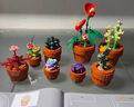 樂(lè )高（LEGO）積木拼裝10329 迷你盆栽男孩女孩玩具生日禮物 曬單實(shí)拍圖