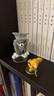 52TOYS TOM&JERRY精神狀態(tài)品鑒盲盒潮玩擺件手辦玩具單只開(kāi)學(xué)禮物 曬單實(shí)拍圖