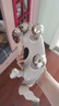 妙界【政府補貼】R7電鍍黃金手肩頸按摩儀頸椎按摩器斜方肌腰背頸部仿人手揉捏熱敷中秋節禮物男女 金 曬單實(shí)拍圖