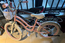 奧仕龍兒童自行車(chē)5-6-8歲小孩單車(chē)女孩公主腳踏車(chē)16寸童車(chē)自行車(chē) 曬單實(shí)拍圖
