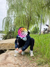 安踏兒童小軟殼外套三防2025春秋防風(fēng)防潑水保暖戶外童裝A52536624S 曬單實拍圖