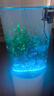 魚之眼魚缸燈照明燈led燈防水氣泡條led帶氣泡燈增氧觀賞七彩彩燈 39cm七彩漸變款 +氣泵套餐 曬單實(shí)拍圖