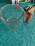 拜杰全自動攪拌杯咖啡杯電動充電款沖泡奶粉豆?jié){專用水杯子 曬單實拍圖