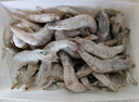 鮮享純【青島蝦】超大蝦新鮮大蝦冷凍鮮活青島大蝦批發(fā)整箱基圍蝦青蝦 15-17厘米鮮蝦速凍 3斤(凈重) 曬單實拍圖