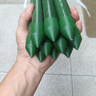 園藝支柱包塑鋼管支花架黃瓜豆角葡萄種菜植物爬藤架支撐桿綠植架 直徑20mm 長(zhǎng)度240cm【10支裝】 曬單實(shí)拍圖