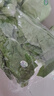 彩虹雨北京農(nóng)場(chǎng) 有機(jī)快白菜250g  歐盟認(rèn)證有機(jī)蔬菜生鮮自有農(nóng)場(chǎng)新鮮直 曬單實(shí)拍圖