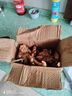 產(chǎn)地直發(fā)云南小黃姜新鮮生姜黃姜調味料新鮮蔬菜生鮮 3斤 裝 曬單實(shí)拍圖