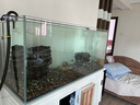 吉印刀鋒Xpro魚缸燈增艷led燈防水三基色紅龍燈鸚鵡魚錦鯉發(fā)色燈 56cm 曬單實拍圖