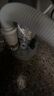 杜邦（DUPONT）廚房下水三通下水道三頭通接頭分水器洗菜盆水槽排水管防返臭神器 曬單實(shí)拍圖