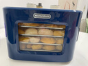 摩飛電器（Morphyrichards）干果機(jī) 烘干機(jī)食品風(fēng)干機(jī)小型食物 水果蔬菜肉類寵物零食自制牛肉干雞肉干家用迷你電烤箱 MR6255 輕奢藍(lán) 8L 曬單實(shí)拍圖