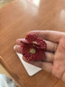 妙奕嘉花朵耳環(huán)女夸張耳飾海邊度假風(fēng)法式耳環(huán)小眾設計高級氛圍耳釘配飾 紅色花朵【耳釘】一對 曬單實(shí)拍圖
