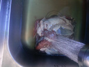 膳之牛&農(nóng)夫好牛 阿根廷谷飼原切牛腱子5斤 進(jìn)口生鮮牛肉 醬鹵燉煮食材 曬單實(shí)拍圖