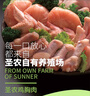 圣農(nóng)雞翅中 雞翅根 雞胸肉 琵琶腿  雞爪生鮮冷凍產(chǎn)品 0激素添加 雞翅中4斤 單只30g-40g 曬單實拍圖
