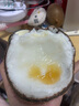正宗即食糯米椰網(wǎng)紅新鮮水果【糯米椰子】新鮮水果名馬卡普諾整箱 【大大果1.6斤以上】一個(gè)糯米椰 曬單實(shí)拍圖