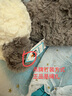 Jellycat唐布利牧羊犬動(dòng)物毛絨玩偶安撫玩具狗公仔娃娃教師節(jié)生日禮物 淺灰色 Medium 曬單實(shí)拍圖