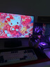 微星（MSI）27英寸 2K300Hz原生 HDR400 0.5ms 快速IPS 2K240Hz游戲電競(jìng)顯示屏電腦 顯示器MAG 275QPF X30黑刃 曬單實(shí)拍圖
