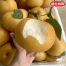 京地達山東秋月梨凈重8斤單果400g+新鮮水果脆甜梨子大果源頭直發(fā)包郵 曬單實(shí)拍圖