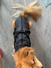 超可耐狗狗衣服冬天大型犬保暖金毛邊牧馬犬杜賓衣服2025防風(fēng)防雪棉衣 隕石灰 4XL碼（胸圍72背長(cháng)57） 曬單實(shí)拍圖