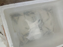 大草魚(yú)苗淡水養殖活體魚(yú)塘吃草食蚊魚(yú)大規格半斤皖魚(yú)冷水觀(guān)賞食用草魚(yú)魚(yú)苗 100條8-10厘米草魚(yú)加10條防損 曬單實(shí)拍圖