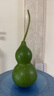 鄧祿普（Dunlopillo）ECO波浪枕 斯里蘭卡進(jìn)口天然乳膠枕頭 頸椎枕  曬單實(shí)拍圖
