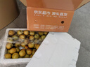 京鮮生 陜西大荔冬棗 冬棗 凈重3斤 單果16g+ 生鮮水果 源頭直發(fā) 曬單實(shí)拍圖