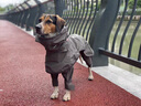 MIKI PAD狗狗雨衣分體式中大型犬全包四腳防水雨披狗衣服寵物沖鋒衣邊牧 雨披+防臟褲【全身防護】 6XL（胸圍72-83 建議50-60斤） 曬單實(shí)拍圖