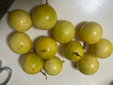 京鮮生正宗欽蜜9號黃金百香果10個裝/單果60g-70g 生鮮水果 源頭直發(fā) 曬單實拍圖