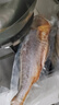三都港 冷凍三去大黃魚凈重2斤/2條裝 寧德黃花魚 生鮮魚類 燒烤 曬單實(shí)拍圖