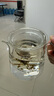 KOOGIS洗茶漬茶垢清潔劑食品級(jí)茶壺具清洗劑咖啡機(jī)漬除垢劑去茶漬垢神器 曬單實(shí)拍圖