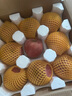 京鮮生山東煙臺紅富士 蘋果 凈重5斤單果200g+ 新鮮水果 源頭直發(fā) 曬單實拍圖
