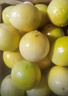 京鮮生 黃金百香果 2斤裝 約13-15粒 單果約70g 酸甜欽蜜 生鮮水果 曬單實拍圖