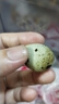 耕果妙新鮮鵪鶉蛋100顆鶉鳥蛋小鳥蛋 源頭直發(fā)整箱包郵 曬單實(shí)拍圖
