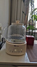 小熊（Bear）全玻璃養生壺 養生杯 辦公室多功能?chē)鸂t煮茶花茶壺0金屬全玻璃壺體恒溫壺水壺電熱燒水壺 YSH-P10Q7【全玻璃壺體】 1L 無(wú)濾網(wǎng) 曬單實(shí)拍圖