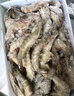 東上御品 國產(chǎn)青島大蝦 特大號白蝦 2030規(guī)格 凈重3斤 盒裝活凍 曬單實拍圖
