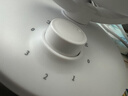 京東京造 [小云朵」空氣循環(huán)扇 廣角搖頭電風扇家用節(jié)能桌面/臺式小風扇空調(diào)伴侶輕音大風量四季循環(huán)白色款 曬單實拍圖