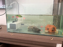 森森魚(yú)缸過(guò)濾器三合一內(nèi)置小型水族箱過(guò)濾系統(tǒng)增氧泵XQP-1000F 15W 曬單實(shí)拍圖