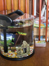 寵盒魚缸客廳超白智能魚缸小型家用造景小型側(cè)濾熱帶魚斗魚生態(tài)金魚缸 黑色圓型超白魚缸+造景大禮包 +豪華版濾材 曬單實(shí)拍圖