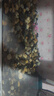 琪康天然鵝卵石溪流石魚(yú)缸鋪底砂水箱裝飾造景小石子原生豆石頭 溪流石：8-16mm10斤 曬單實(shí)拍圖