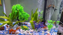 海甲衛(wèi)（HAKAWIN）魚(yú)缸氧氣泵超靜音氧氣泵魚(yú)缸小型家用增氧泵大氣量 AT-771 曬單實(shí)拍圖