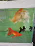 統(tǒng)一 錦鯉飼料 增色增體不渾水魚(yú)糧 金魚(yú)飼料 成魚(yú)主食大顆粒5kg 曬單實(shí)拍圖
