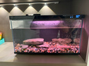迪普爾 魚(yú)缸造景裝飾假山溪流石主石大塊巖片石頭片巖水陸缸原生態(tài)底砂 曬單實(shí)拍圖