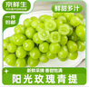 京鮮生國(guó)產(chǎn)陽光玫瑰凈重4.5斤單果10g 葡萄/提子生鮮水果 源頭直發(fā)包郵 曬單實(shí)拍圖
