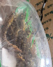 其他品牌 鮮活基圍蝦200g(12-20只) 曬單實(shí)拍圖