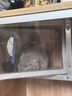 BCM天然藻油美毛龍貓糧 低溫烘焙龍貓糧 金絲鼠草食物飼料900g 曬單實(shí)拍圖