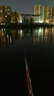小鳳仙高亮夜光漂L-DL咬鉤變色浮漂日夜兩用高靈敏魚漂醒目野釣電子漂 曬單實拍圖