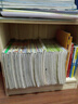 耐家實(shí)木書(shū)架落地置物架一體靠墻多層書(shū)柜窄縫兒童家用客廳收納展示柜 全實(shí)木【無(wú)柜門(mén)款】深度24CM 六層長(cháng)40x高166CM 曬單實(shí)拍圖